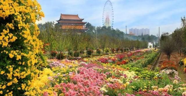 雁荡镇千强镇排名_浙江义乌第一大镇,常住人口就有20万人,全国千强镇