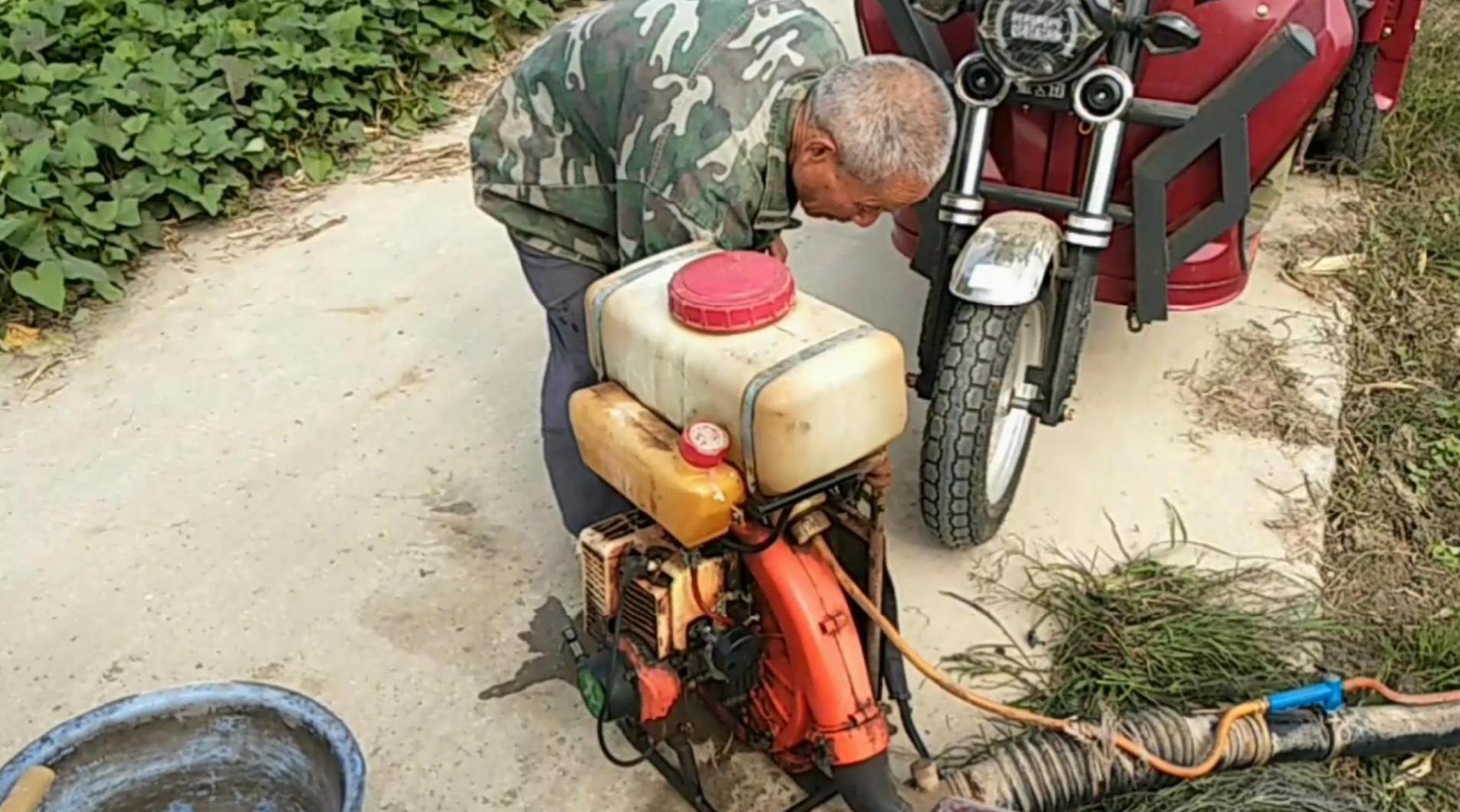 农村老人背老式汽油机给菊花打药