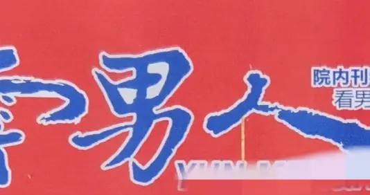 整字拆开是什么成语_半三足什么的四字成语(3)