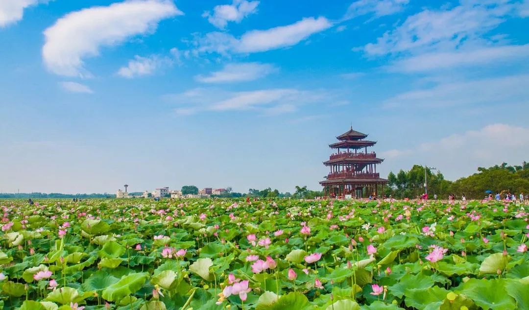 贵港那里有站小巷