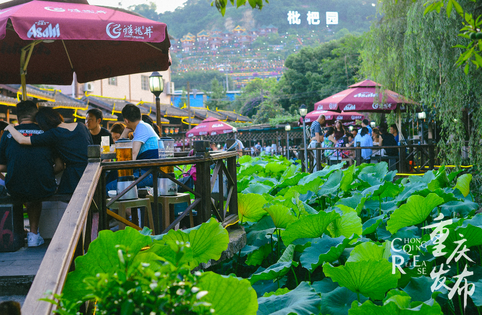 火锅和荷塘形成一道风景线 邹乐 摄