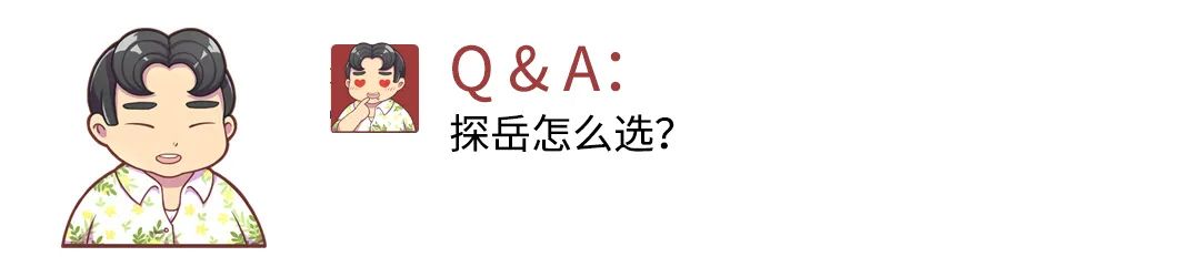 我有25万预算 选迈腾还是选凯美瑞？