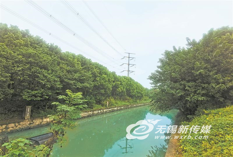 江阴人口多_江阴大桥(3)
