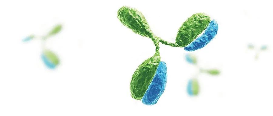 属于大分子生物药的时代!未来,我们要投生物科技公司还是生物制药公司?