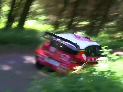 wrc：纯种小钢炮，雪铁龙C3