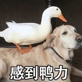 养基界的“米其林指南”来了!