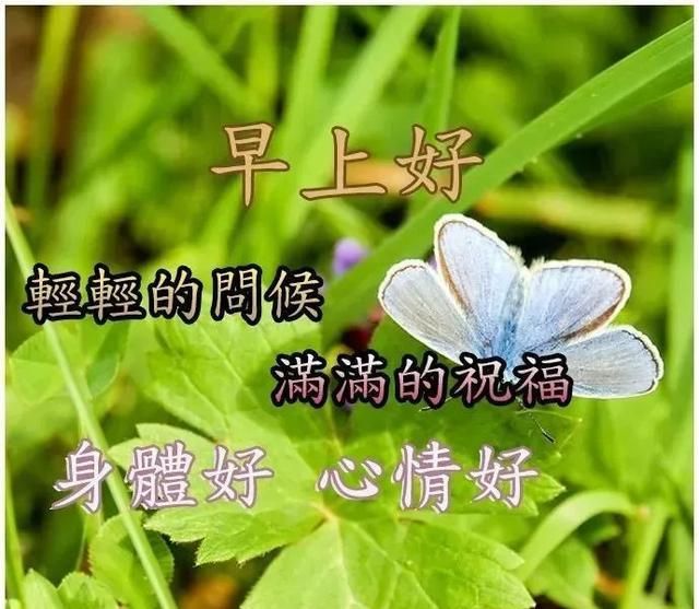 周末发朋友圈有创意的秋天早安问候图片愿你有自己喜欢的人