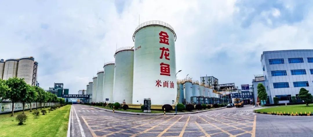 德感工业园益海嘉里生产基地。袁孝椿 摄