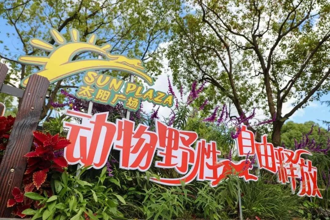 图源:上海野生动物园公众号