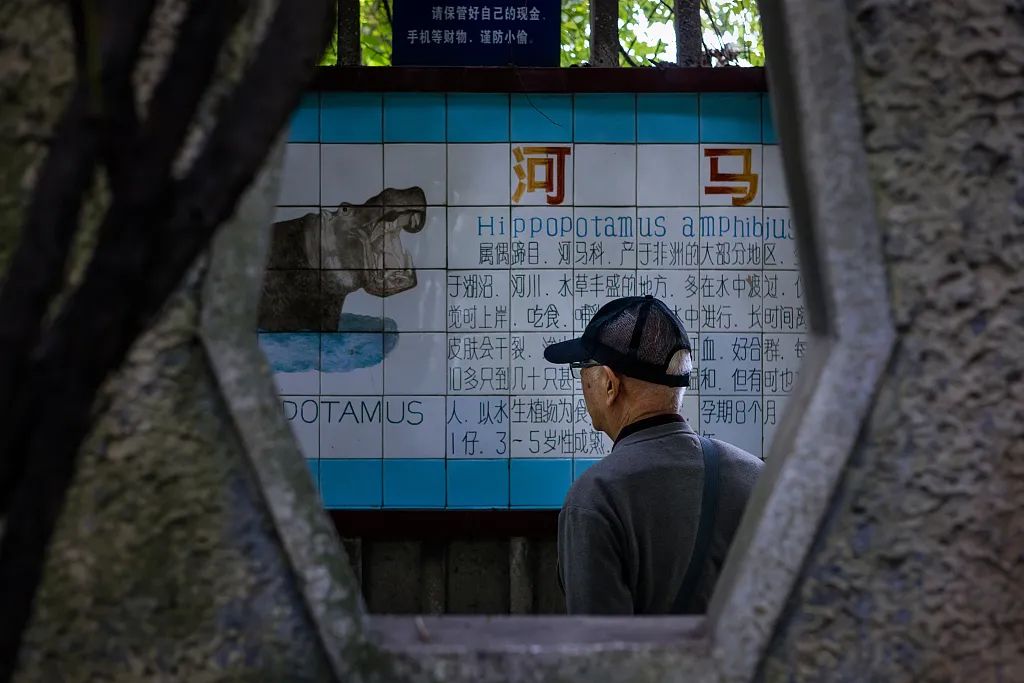 动物伤人致死事件后 “该不该存在动物园”再掀