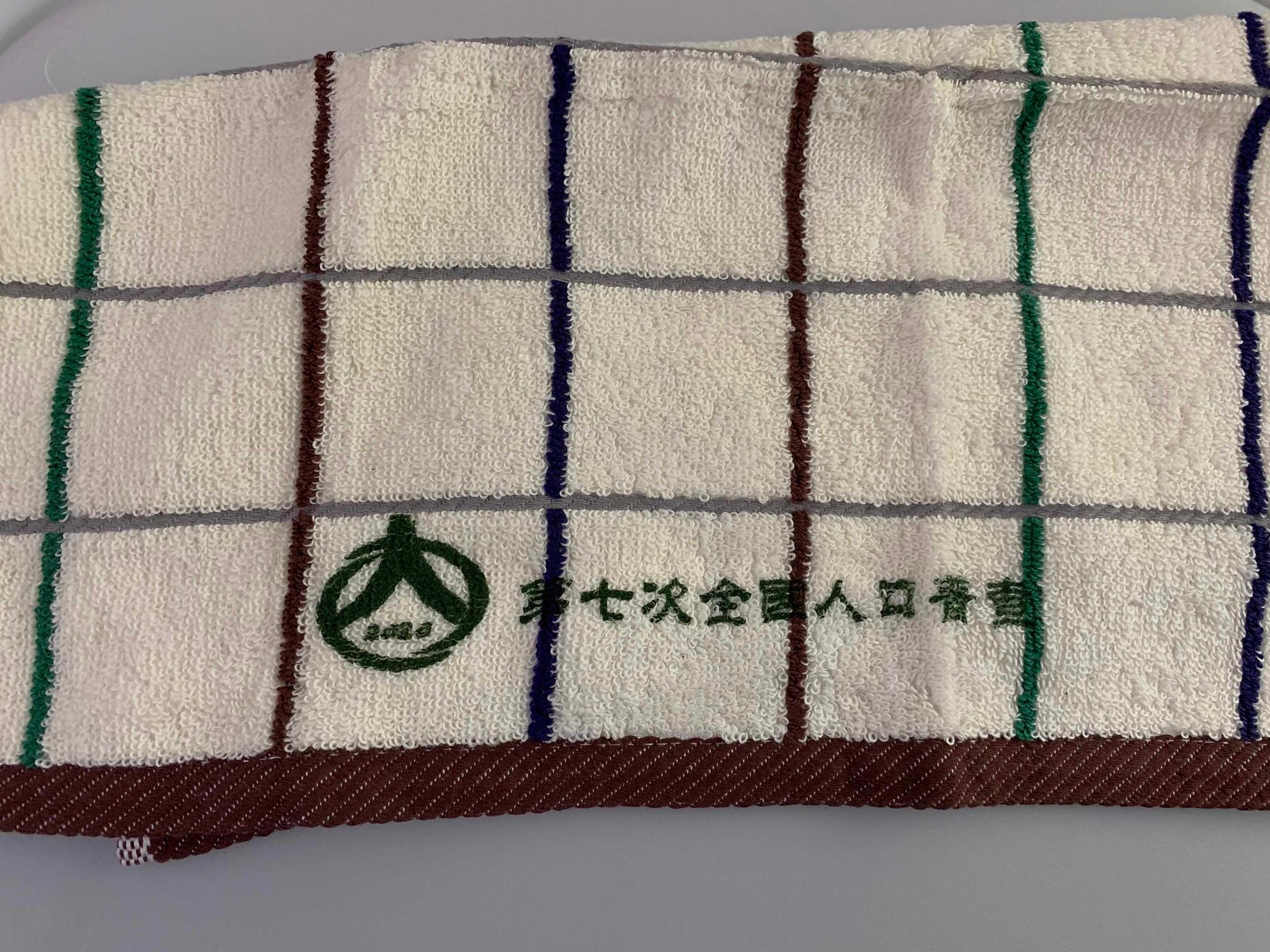 人口普查假冒_人口普查(3)