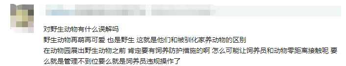 动物伤人致死事件后 “该不该存在动物园”再掀