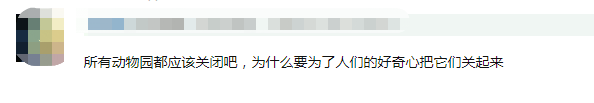 动物伤人致死事件后 “该不该存在动物园”再掀