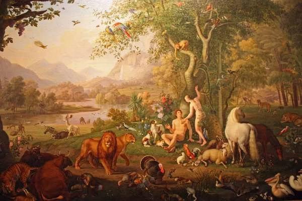 讲述共产党打麻雀战的电视剧