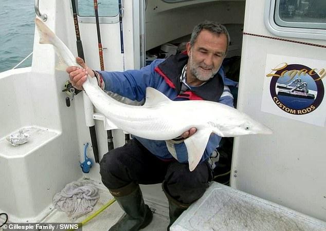 英国渔夫意外捕获一条“白化”鲨鱼，全身纯白十分罕见