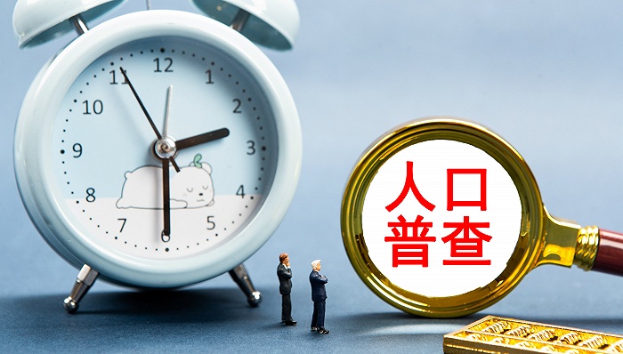 人口普查20_人口普查2020图标