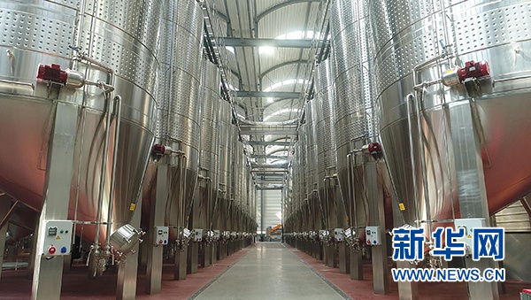 御马酒庄的先进葡萄酒生产设备。(图片由青铜峡市委宣传部提供)