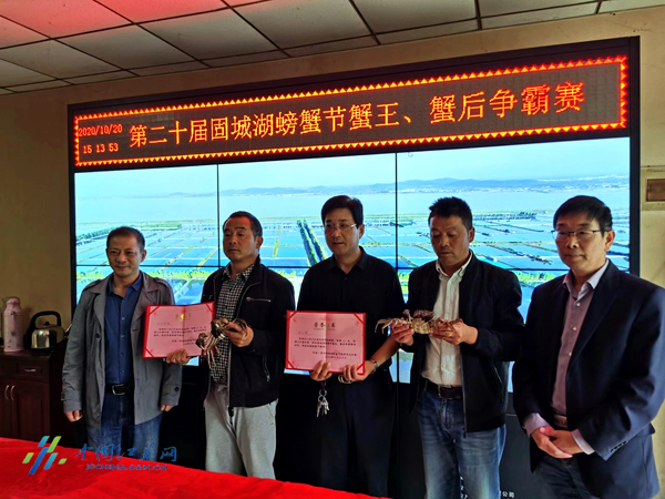 南京固城湖 蟹王 蟹后 出炉 新浪新闻