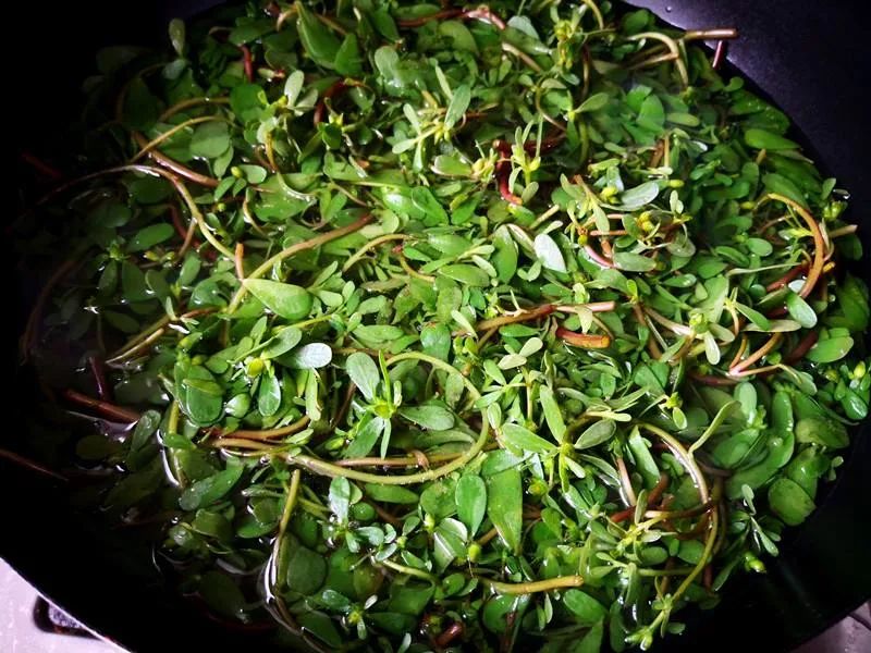 注意休闲区蓝鸢梦想 - Www.slyday.coM 注意休闲区蓝鸢梦想 - Www.slyday.coM