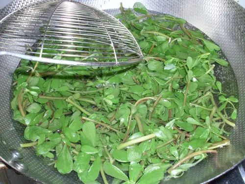 注意休闲区蓝鸢梦想 - Www.slyday.coM 注意休闲区蓝鸢梦想 - Www.slyday.coM