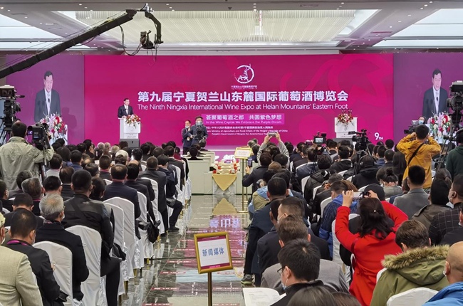 开幕式现场。高嘉蔚 摄