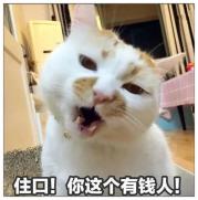 在五星级酒店拼单的名媛,只拍照不睡觉太亏了