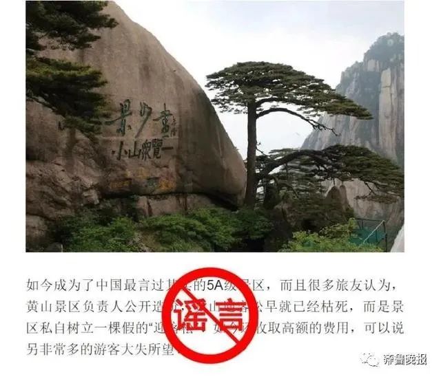 黄山迎客松是塑料的?景区回应(图)