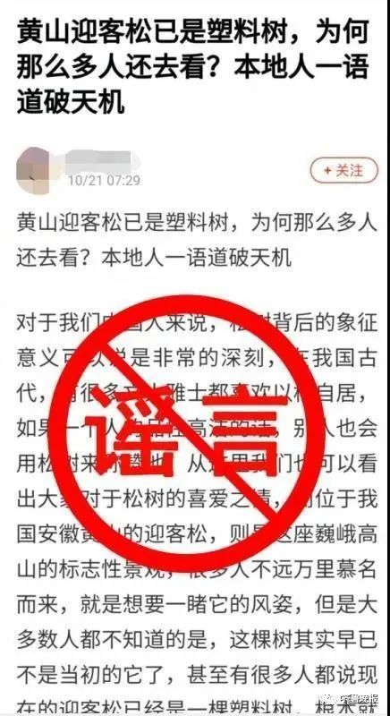 黄山迎客松是塑料的?景区回应(图)