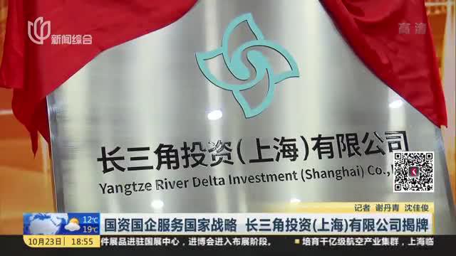 国资国企服务国家战略  长三角投资（上海）有限公司揭牌_新浪新闻