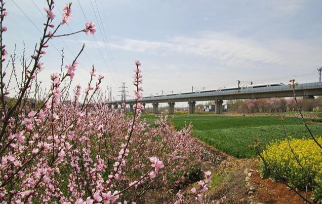 枣庄市人口_枣庄一县市,人口超百万,GDP成全市第一(2)