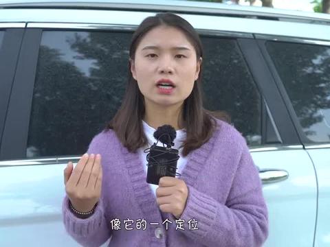 又一国产车库存成灾，降到半价没人买，网友：真把自己当豪车了？