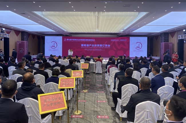 葡萄酒产业投资暨订货会会议现场。梁宏鑫摄