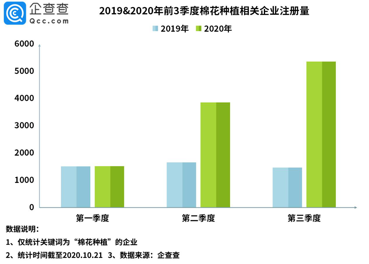 棉花价格飙涨背后：棉花种植相关企业前三季度