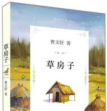 从叙事视角解读《草房子》：儿童视角下，被诗意化的苦难哲学