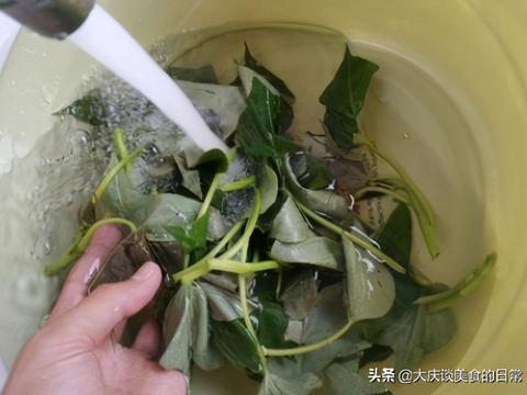 十月多吃这道菜，5毛钱一斤，鲜香美味营养高，孩子常吃视力好