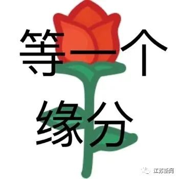 最门当户对夫妻!两人业主群相识见面才知彼此