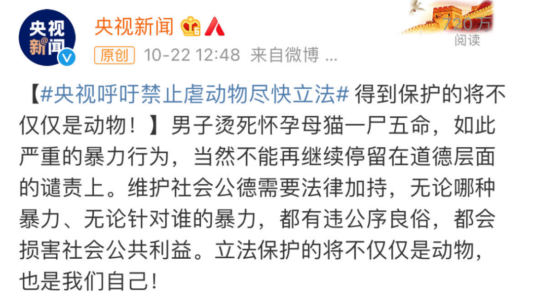虐猫男子老家收到花圈寿衣?律师提醒!央视发