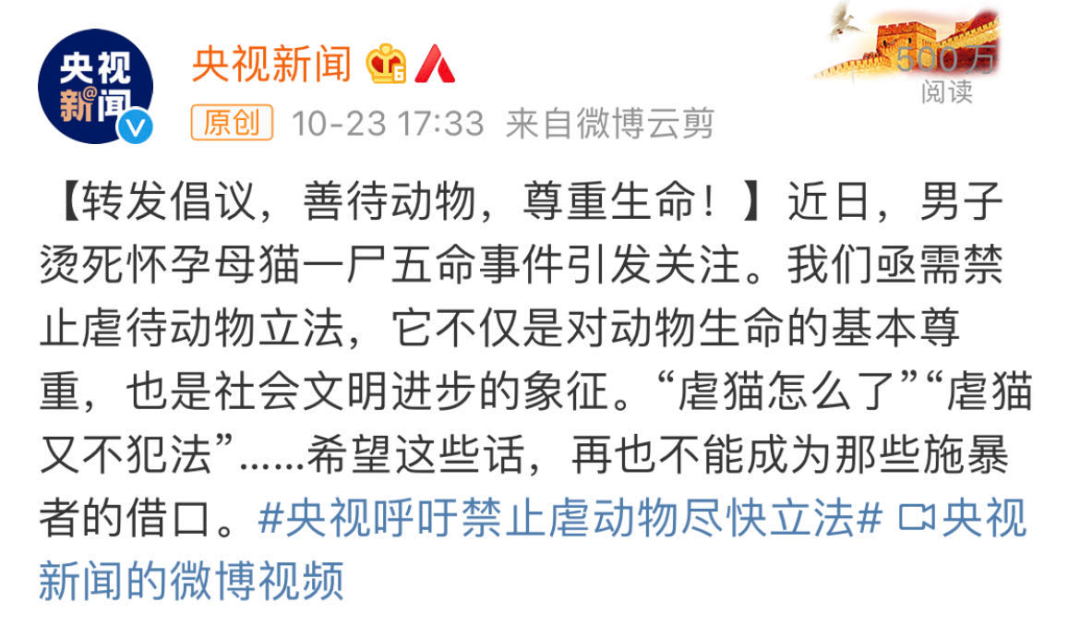 虐猫男子老家收到花圈寿衣?律师提醒!央视发