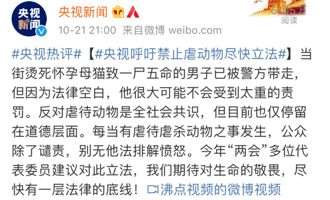 虐猫男子老家收到花圈寿衣?律师提醒!央视发
