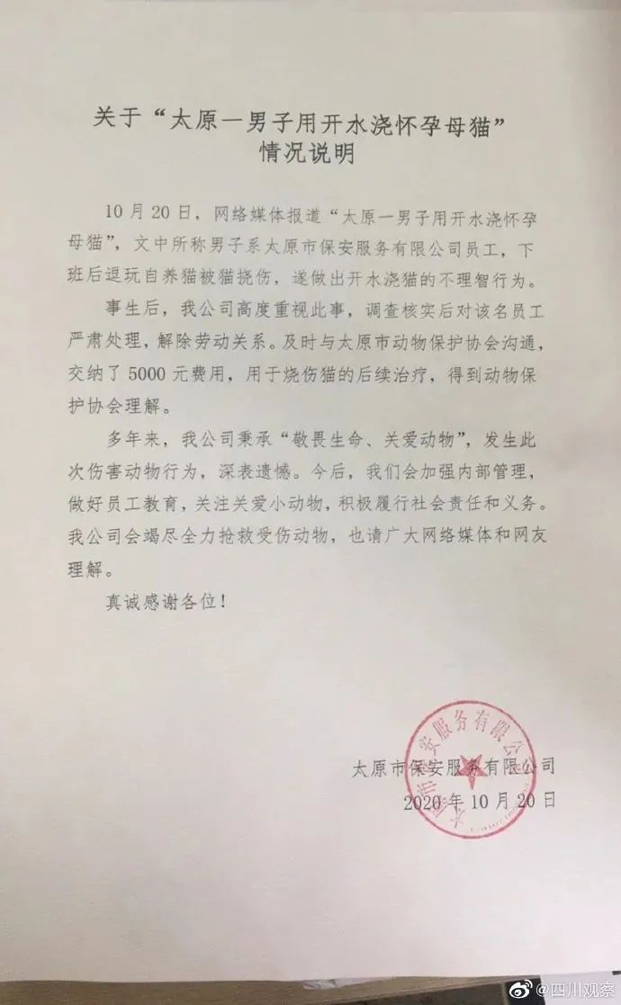 虐猫男子老家收到花圈寿衣?律师提醒!央视发