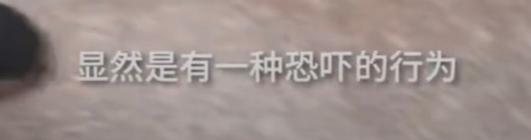 虐猫男子老家收到花圈寿衣?律师提醒!央视发