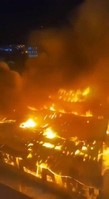 南金乡人口_人口普查