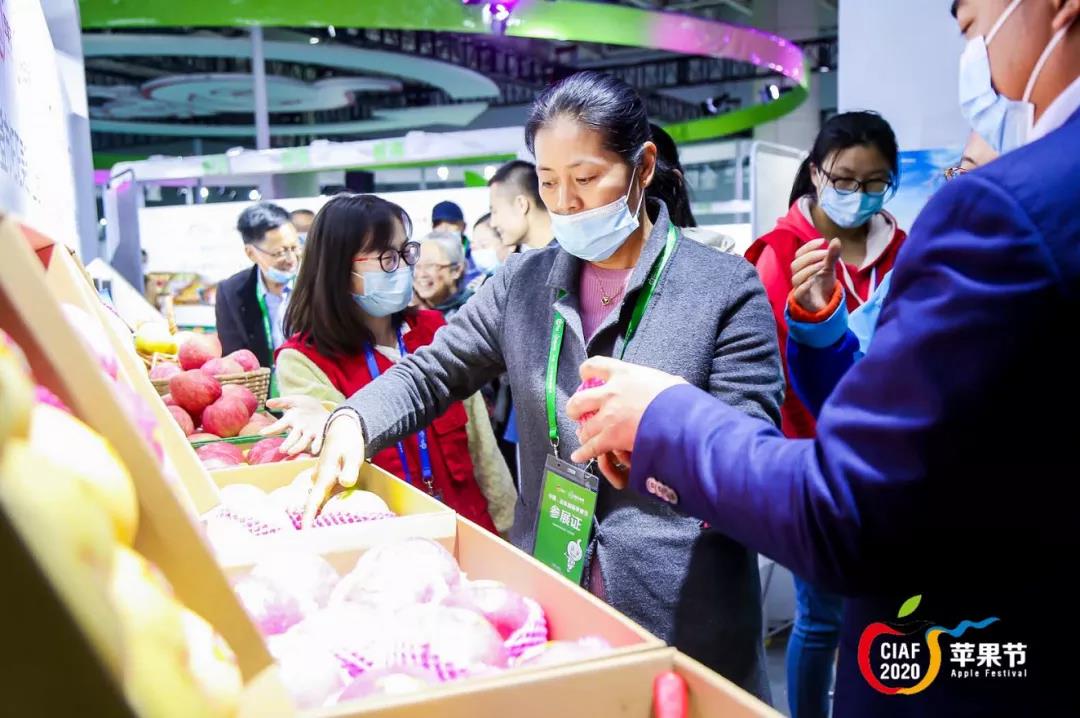 中国•山东国际苹果节在烟台开幕