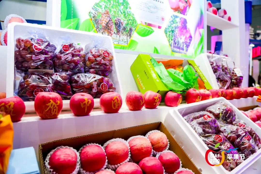 中国•山东国际苹果节在烟台开幕
