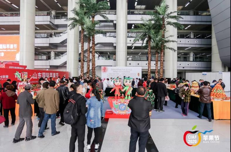 中国•山东国际苹果节在烟台开幕