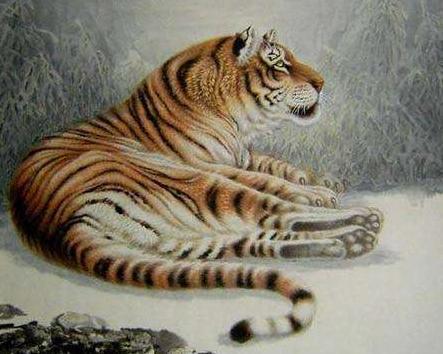 2020属相财运排名_2020年8月份,财运排名靠前,大走财运注定发财的三大生