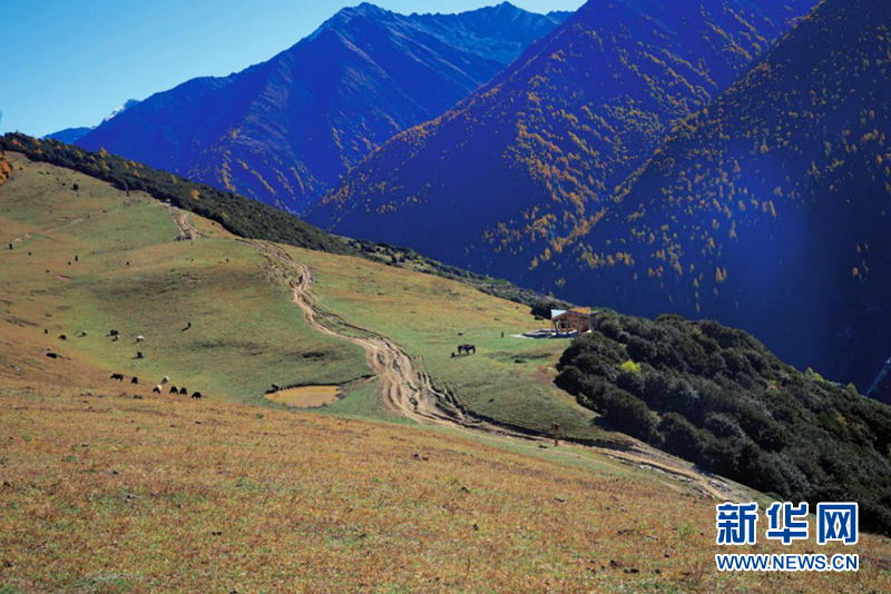 阿坝州小金县四姑娘山景区迎来最美赏秋旅游季