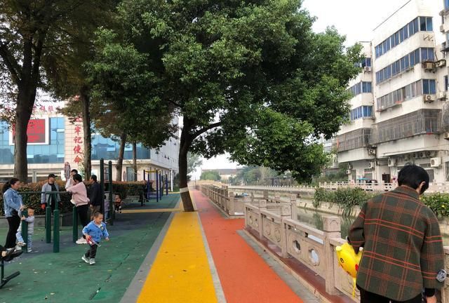 官林gdp_官林发展大计|2019绿地官林经济发展高峰论坛圆满举行!