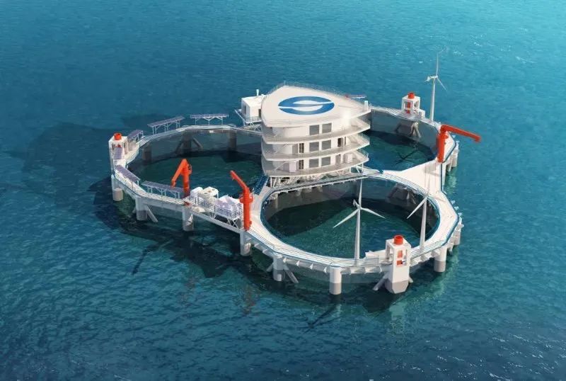 山东这5个海洋牧场野趣十足