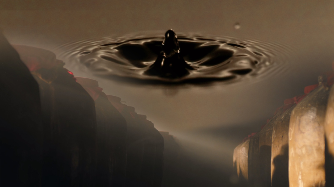 简谱臻藏酒_习酿酱酒臻藏53